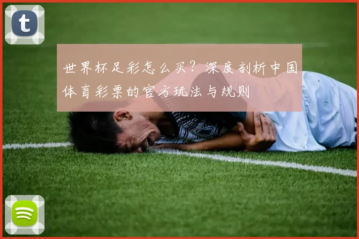 世界杯足彩怎么买？深度剖析中国体育彩票的官方玩法与规则