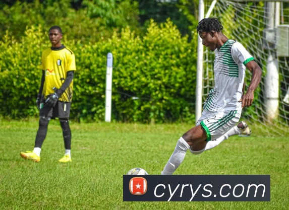 云开体app登录入口APP 封面图